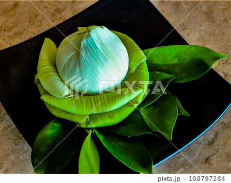 プーケット ホテル 観葉植物 プーケット ホテル 観葉植物 108797284