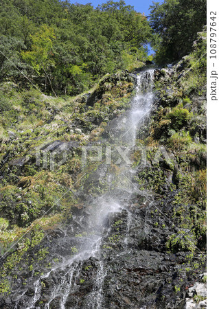 十津川村の十二滝 108797642