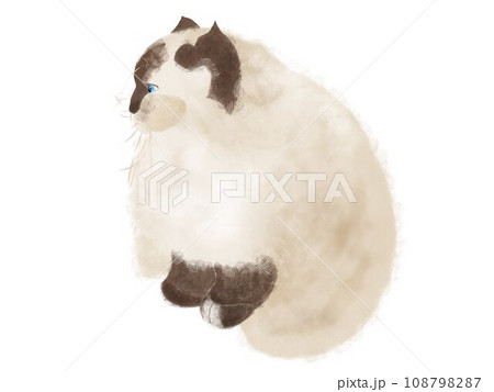 フワフワ猫のヒマラヤン水彩画横向きイラストのイラスト素材