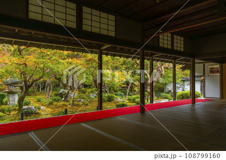 圓光寺 書院から眺める十牛之庭 紅葉の季節 圓光寺 書院から眺める十牛之庭 紅葉の季節 108799160