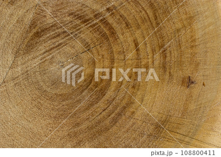 Wood texture of cut tree trunk, close-up 108800411