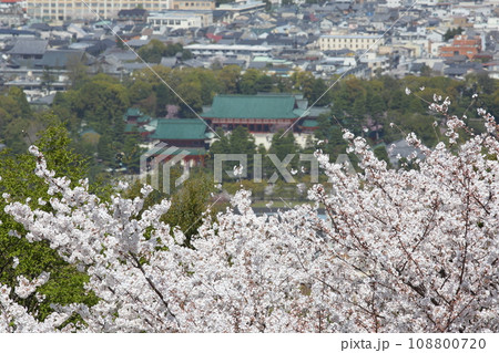 将軍塚青龍殿展望台から見た桜と平安神宮 将軍塚青龍殿展望台から見た桜と平安神宮 108800720