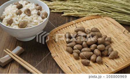 むかごご飯 イメージ むかごご飯 イメージ 108800969