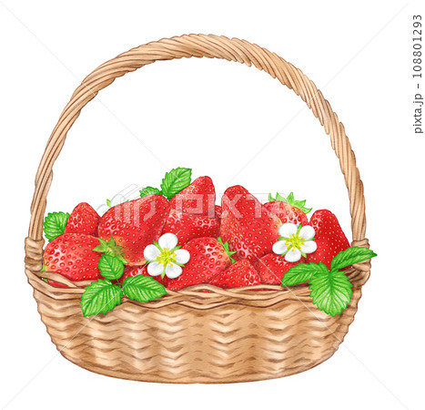 水彩で描いた、苺の実と花と葉が入ったかご 108801293