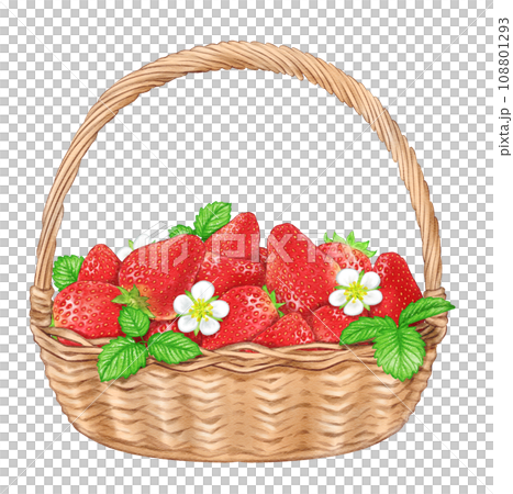 水彩で描いた、苺の実と花と葉が入ったかご 108801293