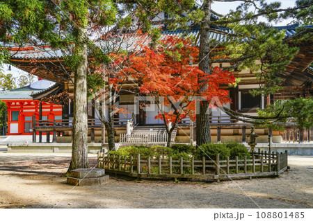 秋の高野山 壇上伽藍 登天の松・杓子の芝と金堂 秋の高野山 壇上伽藍 登天の松・杓子の芝と金堂 108801485