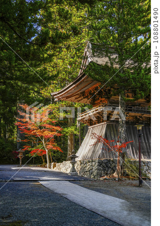 秋の高野山　壇上伽藍　鐘楼 108801490