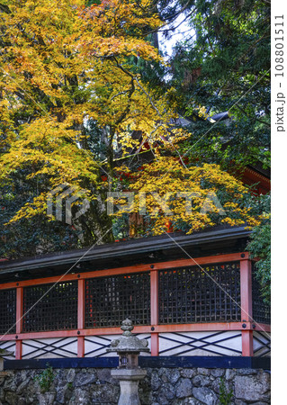 秋の高野山　壇上伽藍　御社の紅葉 108801511