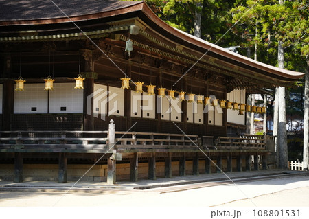 秋の高野山 壇上伽藍 御影堂 秋の高野山 壇上伽藍 御影堂 108801531