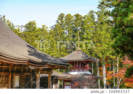 秋の高野山　壇上伽藍　東塔 108801537