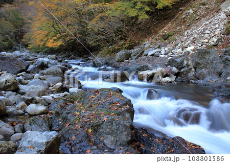 べふ峡 晩秋の渓谷 (高知県 香美市) べふ峡 晩秋の渓谷 (高知県 香美市) 108801586
