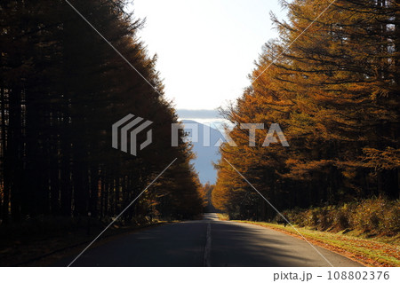 八ヶ岳高原ロッジの周辺絶景 【長野県南牧村】 108802376