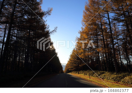八ヶ岳高原ロッジの周辺絶景 【長野県南牧村】 108802377