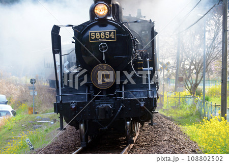 春のSL人吉 108802502