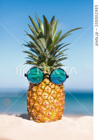 Two pineapples with trendy sunglasses in tropical paradise 108802985