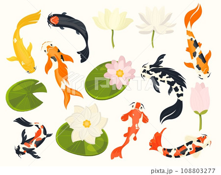 Koi fish and lotus. Exotic asian aquatic animals swimming in lotus flower pond, traditional chinese buddhist symbols. Vector isolated set 108803277