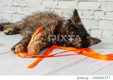 Beautiful little cat girl on a background of a brick wall 108803377