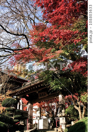 篠栗 源光山 明石寺の紅葉 篠栗 源光山 明石寺の紅葉 108803633