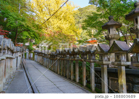【奈良県】信貴山 朝護孫子寺 (2023/11/14 撮影) 【奈良県】信貴山 朝護孫子寺 (2023/11/14 撮影) 108803689