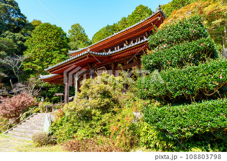 【奈良県】奈良市 弘仁寺 (2023/11/07 撮影) 108803798