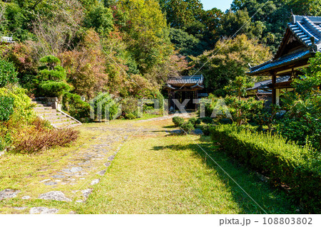 【奈良県】奈良市 弘仁寺 (2023/11/07 撮影) 108803802