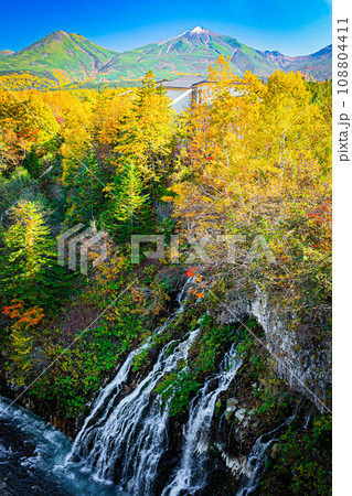 北海道の秋 108804411