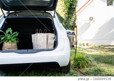 Electric car with flowers charges near a country house 108804530