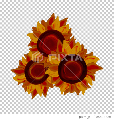 ヒマワリ ヒマワリ 108804886