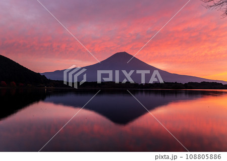 田貫湖の水面に映る朝焼け富士山 田貫湖の水面に映る朝焼け富士山 108805886