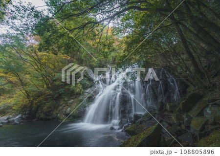 紅葉に染まる滝 108805896