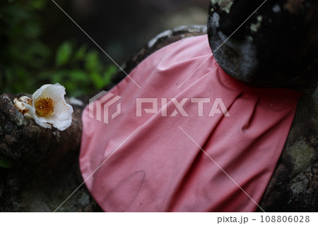 沙羅の花 2023 沙羅の花 2023 108806028