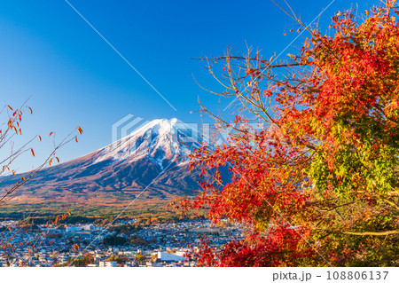 (山梨県)朝日を浴びて光る紅葉と富士山 (山梨県)朝日を浴びて光る紅葉と富士山 108806137