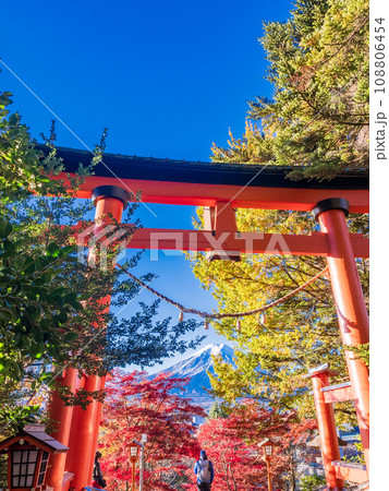 (山梨県)紅葉が美しい新倉山浅間神社の赤鳥居と富士山 (山梨県)紅葉が美しい新倉山浅間神社の赤鳥居と富士山 108806454