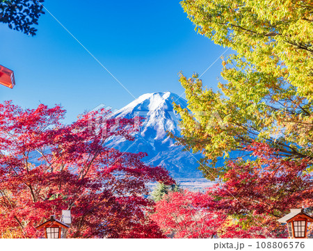 （山梨県）紅葉が美しい新倉山浅間神社の赤鳥居と富士山 108806576