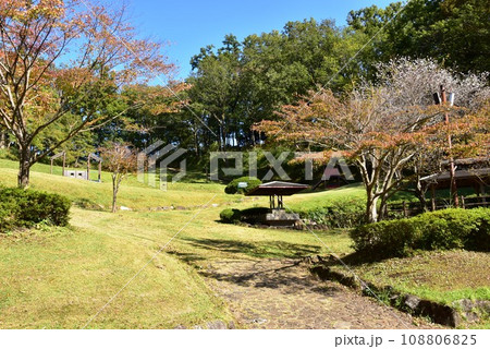 厚木市 神奈川県立七沢森林公園のピクニック広場と紅葉と十月桜 厚木市 神奈川県立七沢森林公園のピクニック広場と紅葉と十月桜 108806825