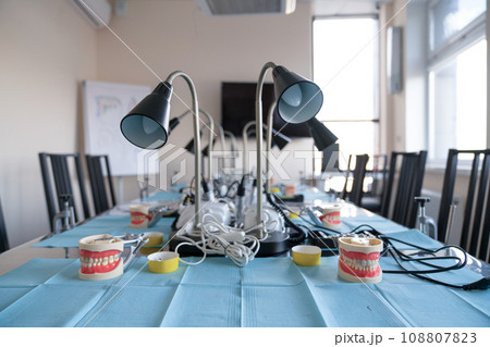 Models of the human jaw for teaching dentists 108807823