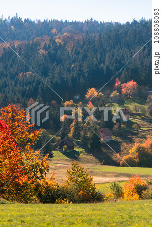 Autumn landscape with country houses in mountains 108808083