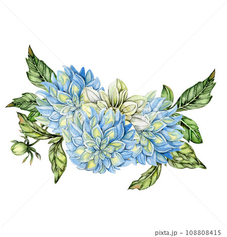 Watercolor dahlia flowers composition. Hand drawn illustration of a blooming flower garden. Design for baby shower party, birthday, cake, holiday celebration design, posters,greetings card,invitation. Watercolor dahlia flowers composition. Hand drawn illustration of a blooming flower garden. Design for baby shower party, birthday, cake, holiday celebration design, posters,greetings card,invitation. 108808415
