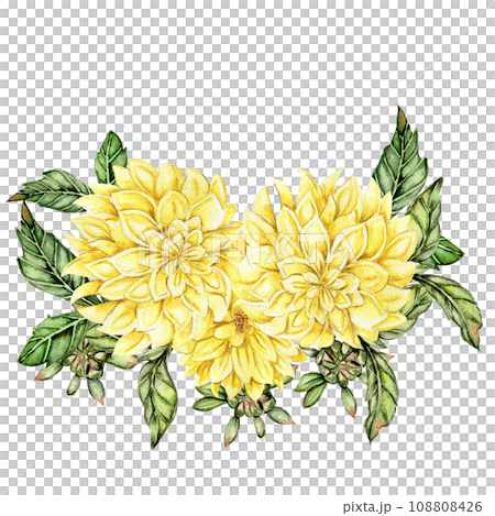 Watercolor dahlia flowers composition. Hand drawn illustration of a blooming flower garden. Design for baby shower party, birthday, cake, holiday celebration design, posters,greetings card,invitation. Watercolor dahlia flowers composition. Hand drawn illustration of a blooming flower garden. Design for baby shower party, birthday, cake, holiday celebration design, posters,greetings card,invitation. 108808426