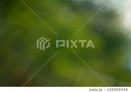 Abstract green summer background defocused 108808449