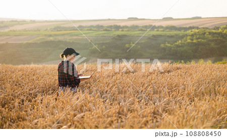 Woman farmer working with laptop on wheat field. Smart farming Woman farmer working with laptop on wheat field. Smart farming 108808450