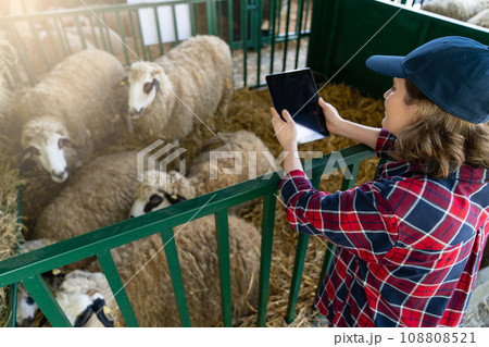 Woman farmer with tablet in a sheepfold. Herd management Woman farmer with tablet in a sheepfold. Herd management 108808521
