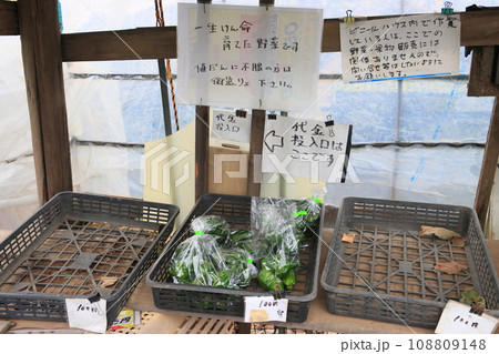 野菜の無人販売所　新鮮野菜の直売所　安心安全の野菜販売 108809148