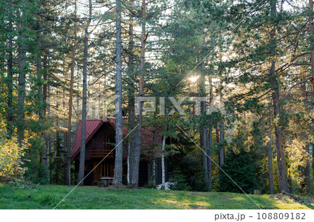 Wooden house in a pine forest at sunset 108809182