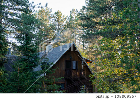 Wooden house in a pine forest at sunset 108809567