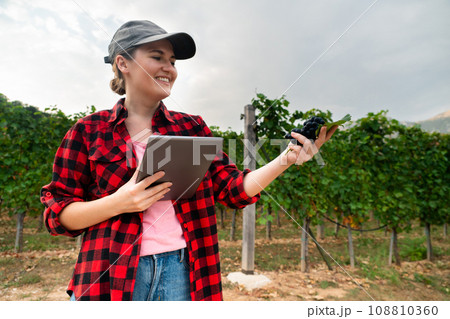 A woman farmer examines the vineyard 108810360