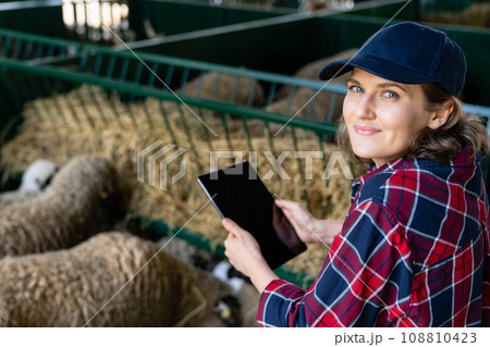 Woman farmer with tablet in a sheepfold 108810423