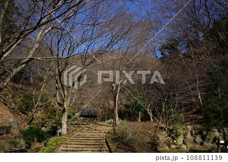 七沢森林公園　 108811139