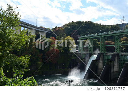 紅葉の季節に放流中の玉淀ダム　埼玉県寄居町 108811777
