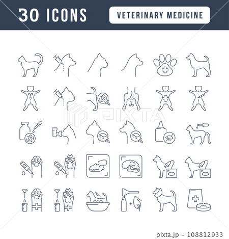 Set of linear icons of Veterinary Medicine Set of linear icons of Veterinary Medicine 108812933